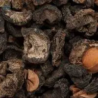 Amla (Phyllanthus Emblica)