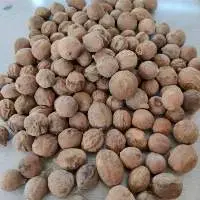 Baheda (Terminalia Bellirica)