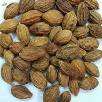Harad (Terminalia Chebula)