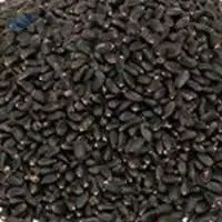 Basil Seeds