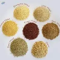 Millet