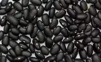 Black Beans