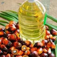 Palm Oil