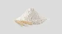 Wheat Flour