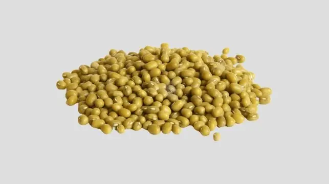 Mung Beans