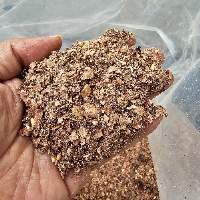 cashew husk