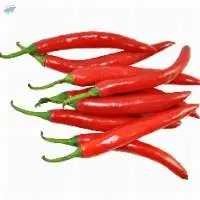 Red Chilli
