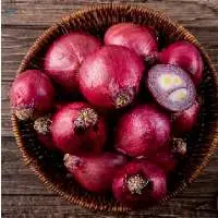 Onion