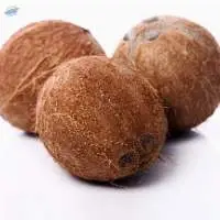Semi Husked Coconut