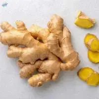Ginger