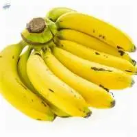 G9 Banana