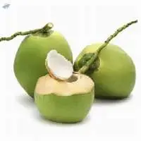 Fresh Tender Coconut