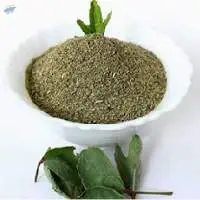 Sorrel leaves Powder