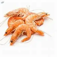 Shrimps