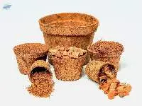 Marisha Coco - Coir Pots