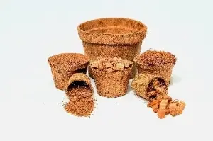 Coir Pots