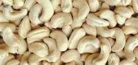 Cashew