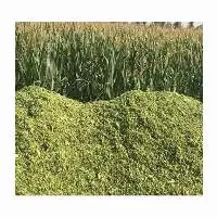 Corn Silage Listings
