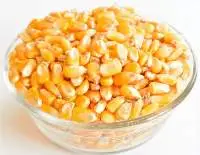 Dried Yellow Maize Corn Grains