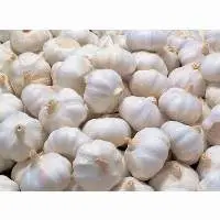 Whole White Garlic