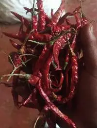 Red Chilli