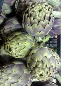 Artichoke