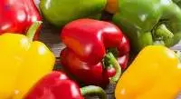 Capsicum Pepper