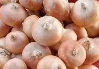Onion