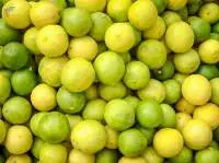 Lemon