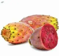 Prickly Pear