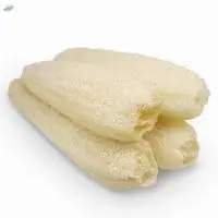 Luffa