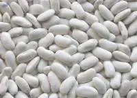 White Beans