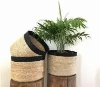 Planter