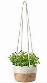 Dori Cotton Planter