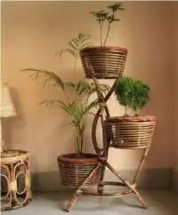 Cane Planter With Stand - 3 in one (CPS112)
