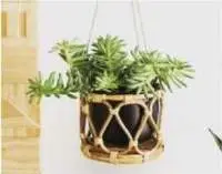 Decorative Cane Planter - Large (CP107)