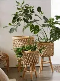 Cane Planter with Stand - Medium (CPS116)
