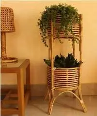 Cane Planter With Stand (CPS119)