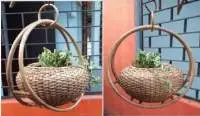 Nest Planter