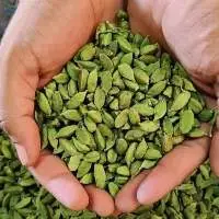 Green Cardamom