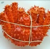 Fresh Red King Crab