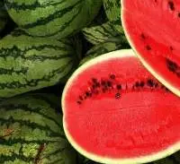 Fresh Watermelon