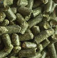 High Quality Alfalfa Pellets