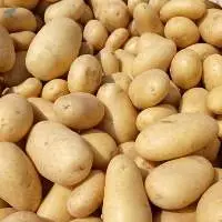 Fresh Potatoes