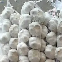 Wholesale White / Pure Garlic Export Grade