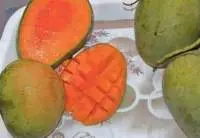 Fresh Mango