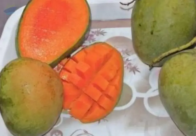 Fresh Mango