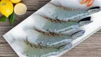 Fresh Seafood