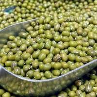 Premium Quality Green Mung Beans
