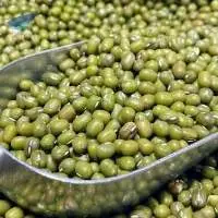 Premium Quality Green Mung Beans